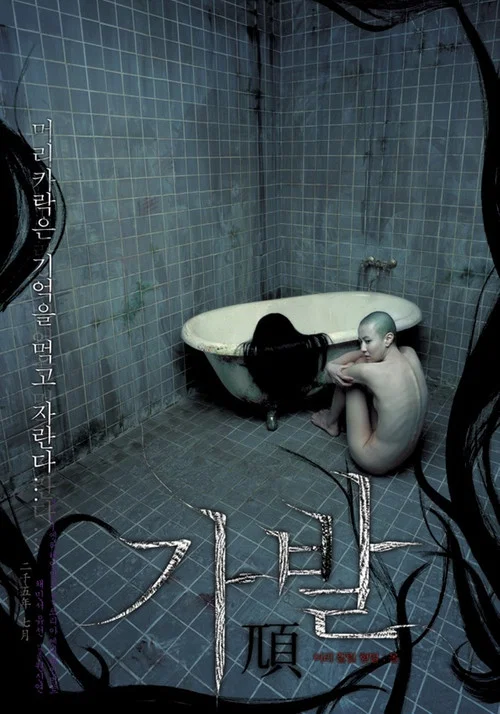 假发(2005)海报