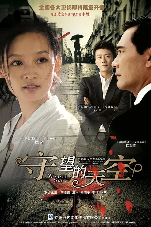 守望的天空(2012)海报