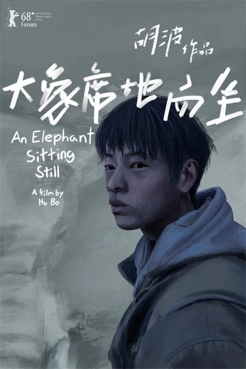 大象席地而坐剧照12