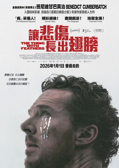 长翅膀的东西(2025)海报