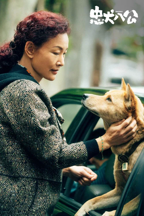忠犬八公剧照10