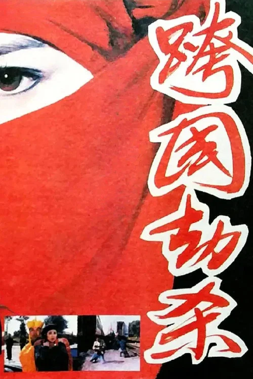 跨国劫杀(1995)海报