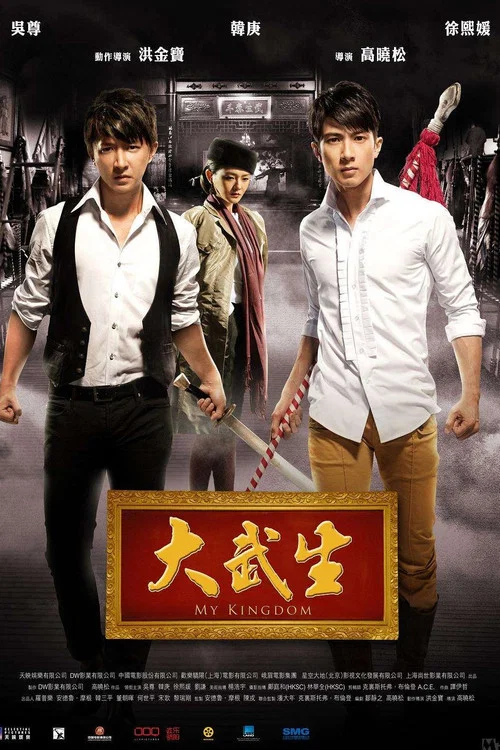 大武生(2011)海报