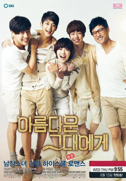 致美丽的你(2012)海报