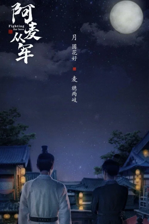 阿麦从军剧照7
