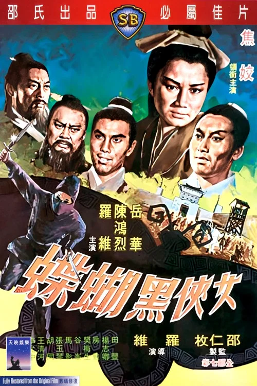 女侠黑蝴蝶剧照2