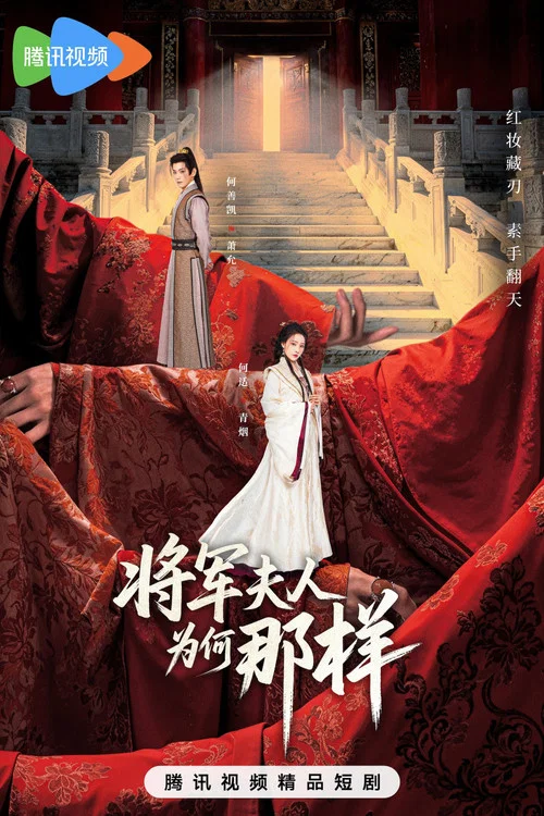 将军夫人为何那样剧照2