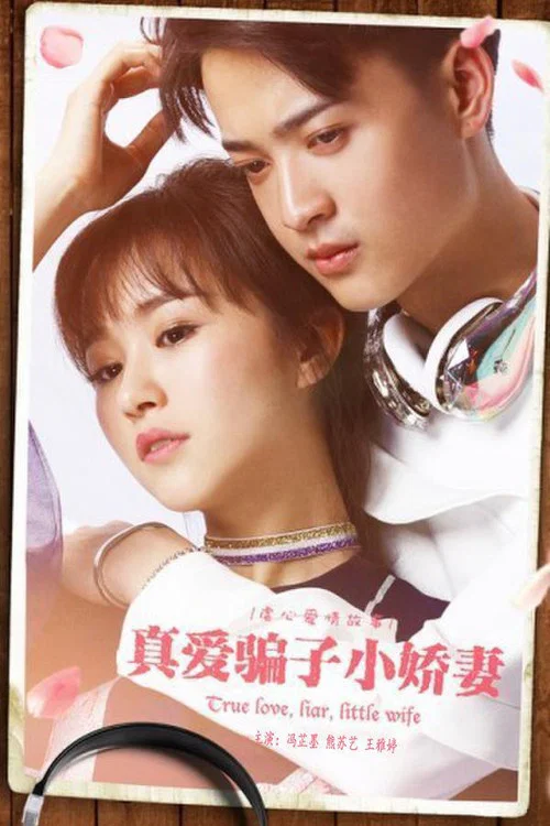 真爱骗子小娇妻(2017)海报