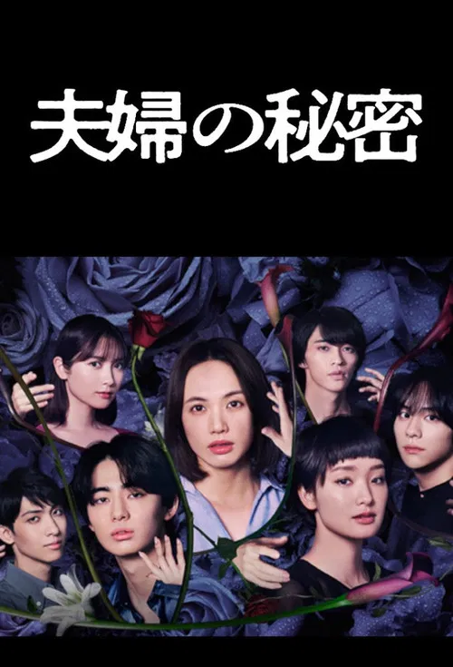 夫妇的秘密(2024)海报