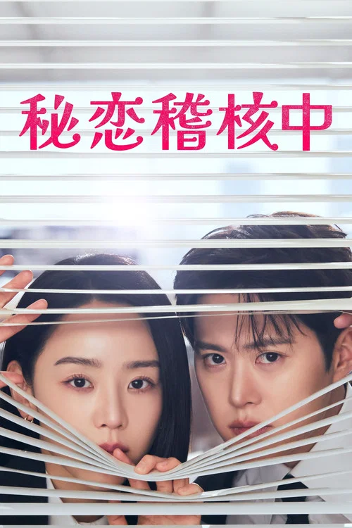 隐秘的监察剧照2