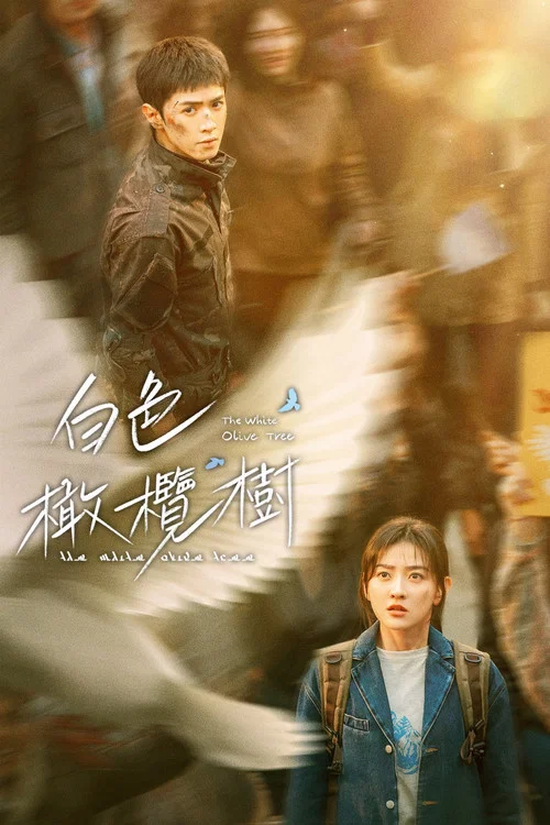 白色橄榄树剧照7
