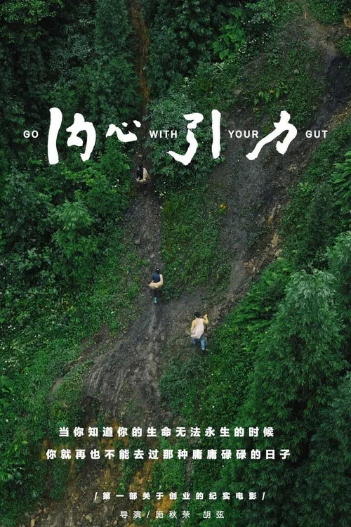 内心引力(2017)海报
