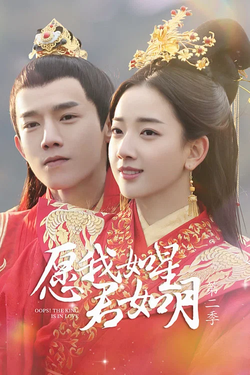 愿我如星君如月剧照3
