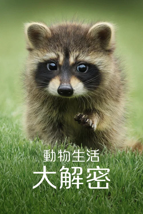 动物的秘密生活(2024)海报