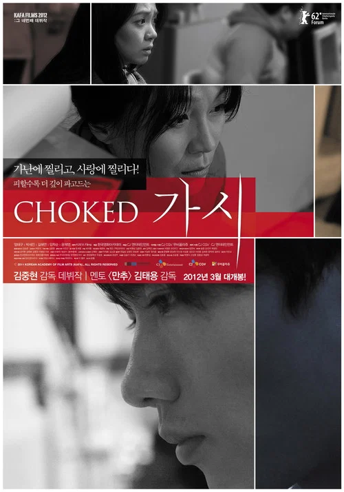 鯁骨人生(2011)海报