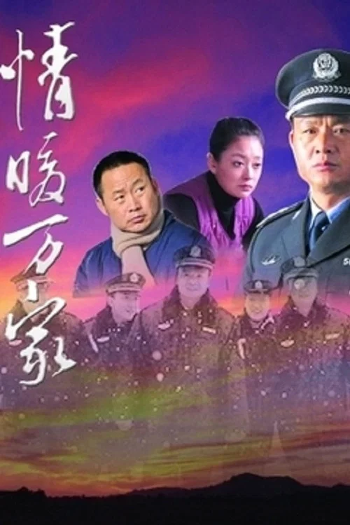 情暖万家(2011)海报