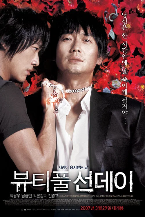 美丽的星期天(2007)海报