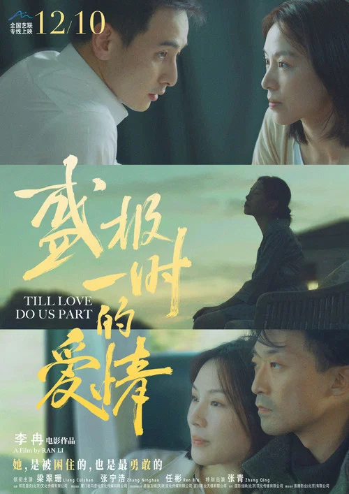 盛极一时的爱情(2024)海报
