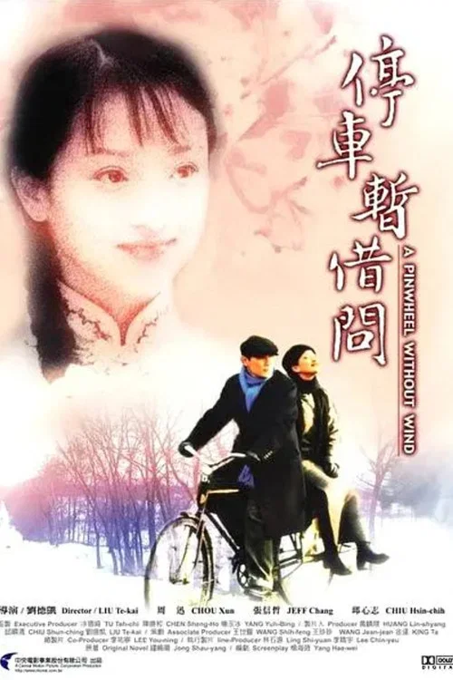 烟雨红颜(2002)海报