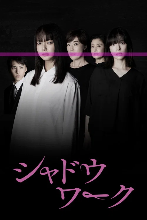 影子工作(2025)海报