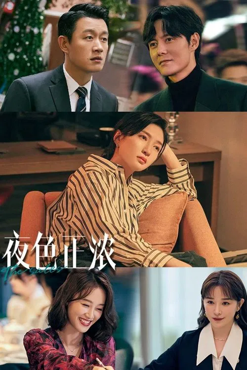 夜色正浓(2026)海报