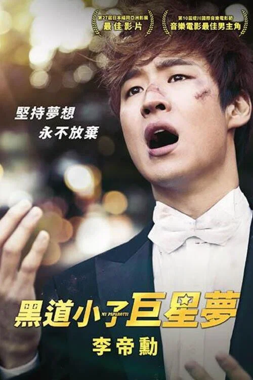 我的帕瓦罗蒂(2013)海报