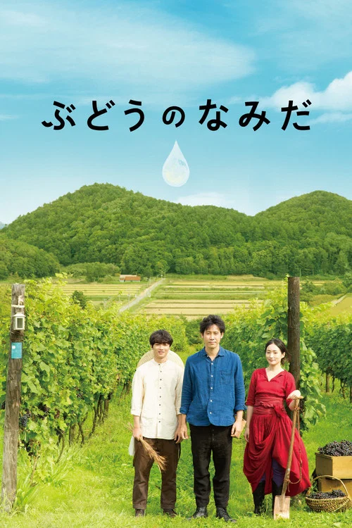 葡萄的眼泪(2014)海报