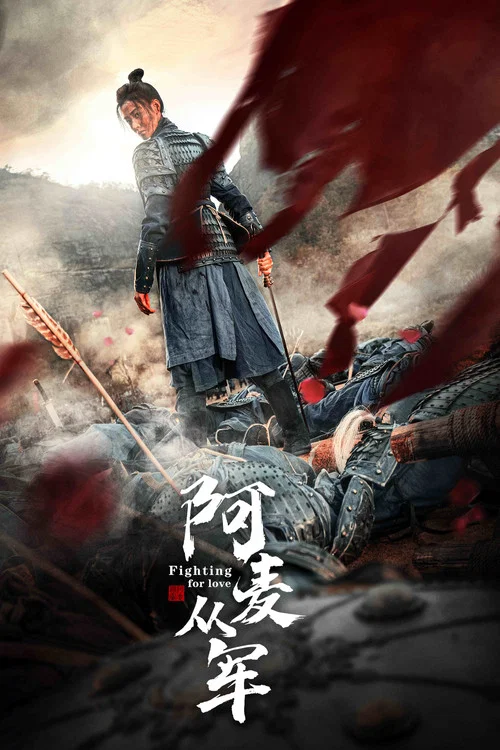 阿麦从军剧照9