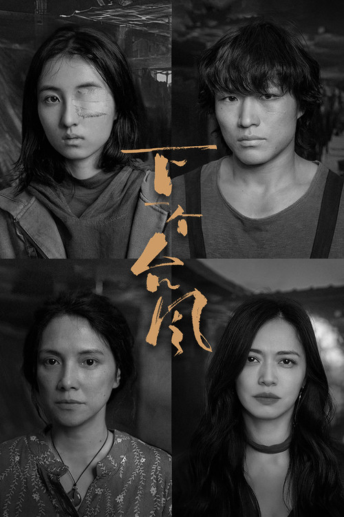 下一个台风(2025)海报