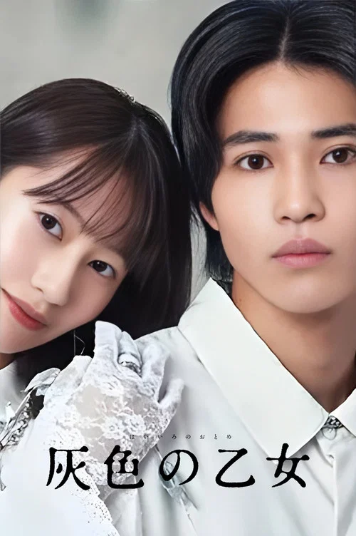 灰色少女(2023)海报