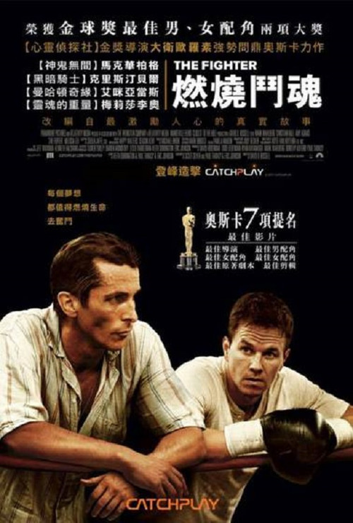 手足情 2010(2010)海报