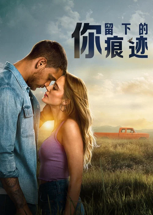 你留下的痕迹(2026)海报