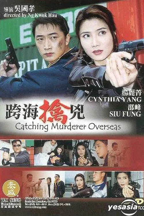 跨海擒兇(2003)海报