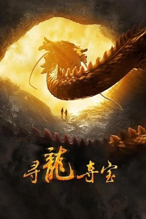 寻龙夺宝(2011)海报