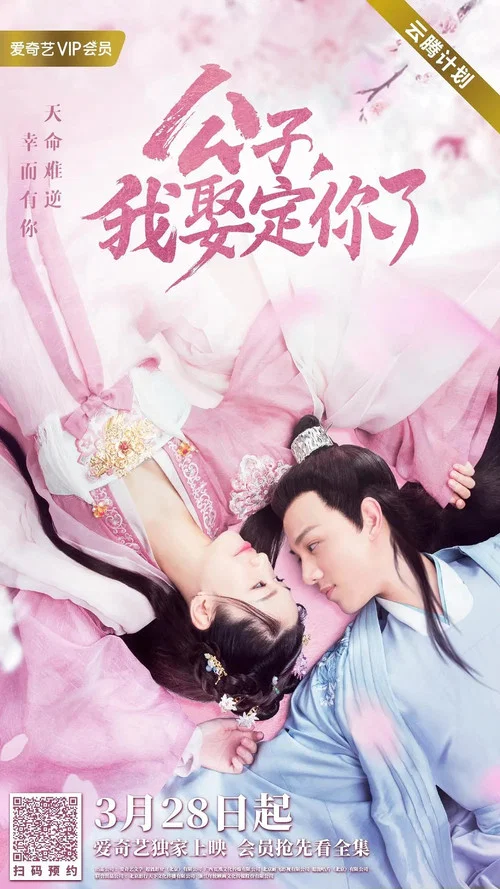 公子,我娶定你了剧照3