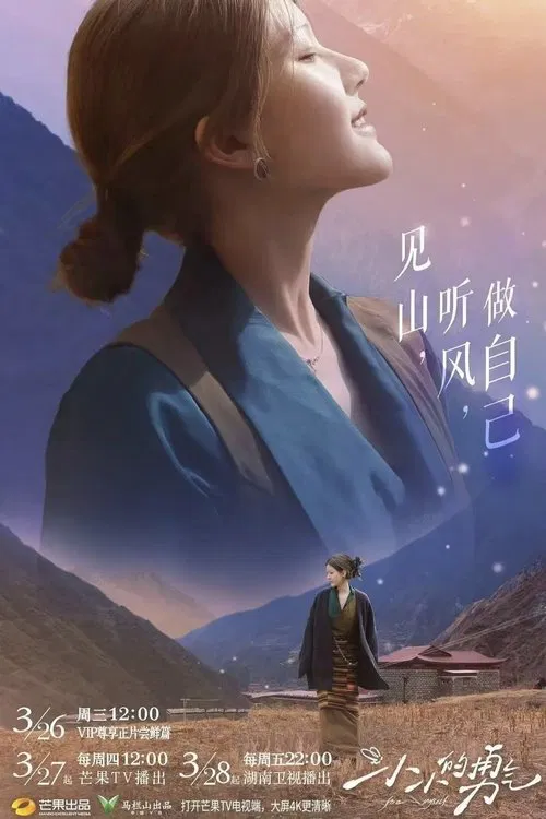 小小的勇气(2025)海报