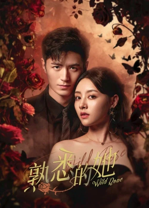 熟悉的她(2025)海报