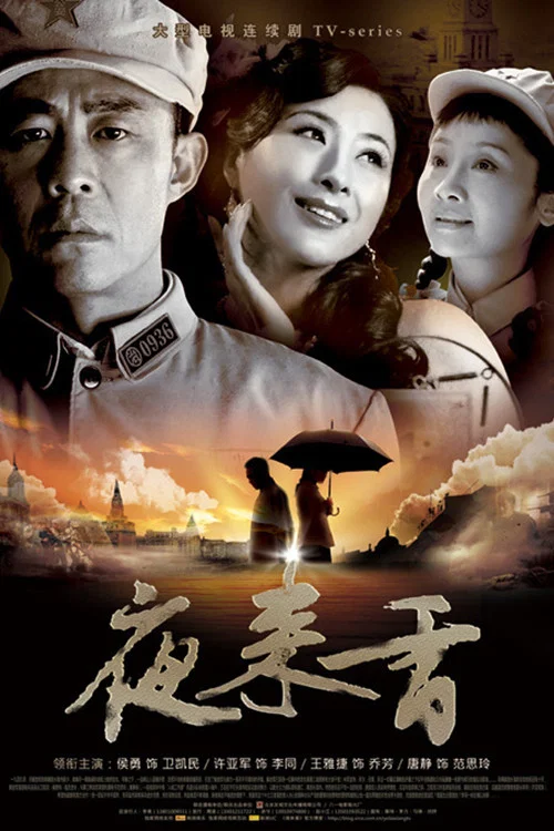 夜来香(2009)海报