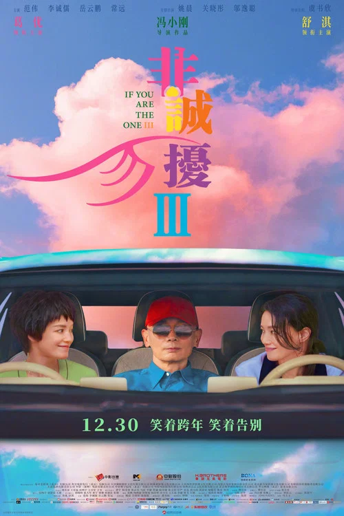 非诚勿扰3剧照18