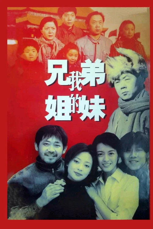 我的兄弟姐妹2001(2001)海报