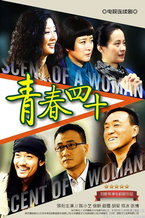 青春四十(2012)海报