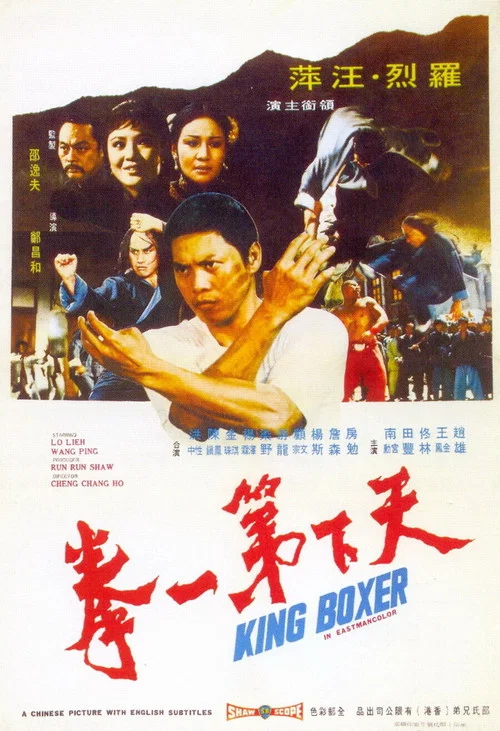 天下第一拳剧照2