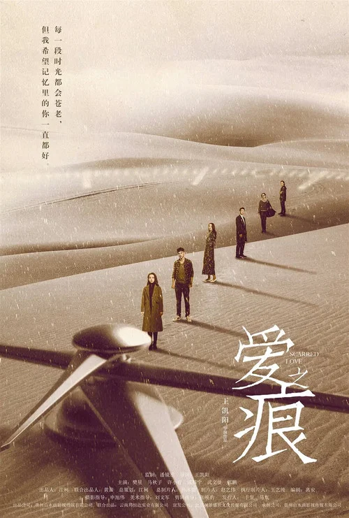 爱·之痕(2019)海报