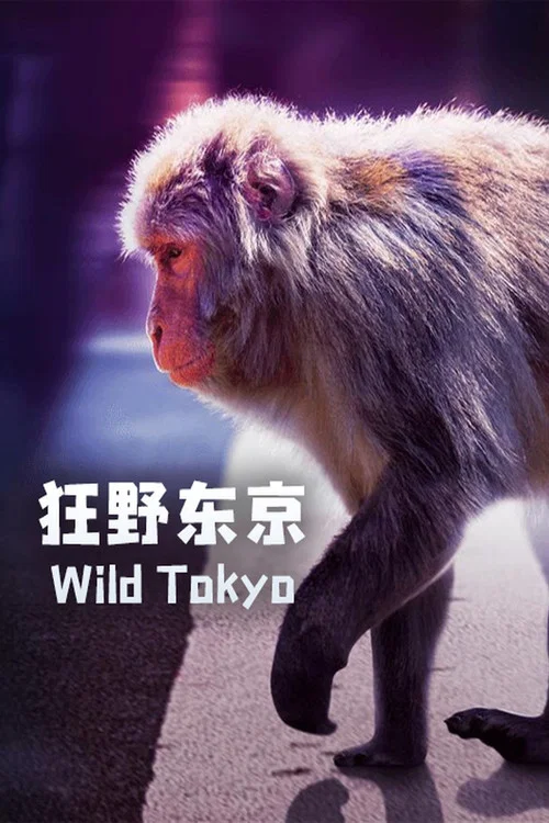 狂野东京(2021)海报