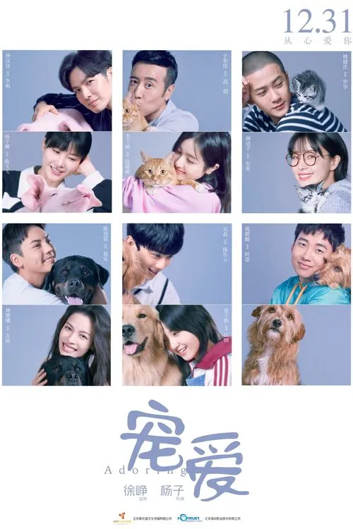 宠爱(2019)海报