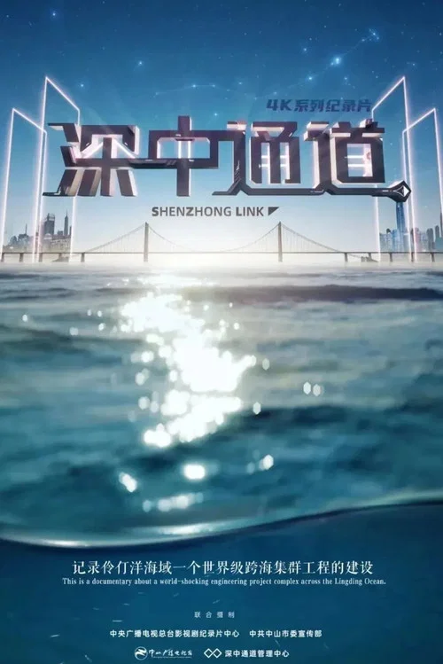 深中通道(2023)海报