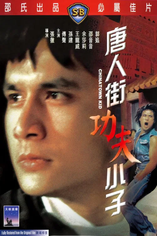 唐人街功夫小子剧照2