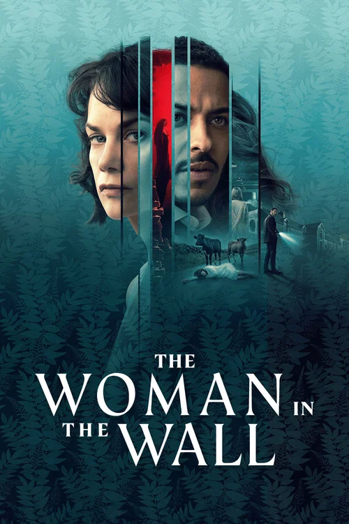墙里的女人(2023)海报
