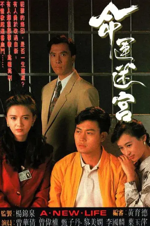 命运迷宫普通话版(1991)海报