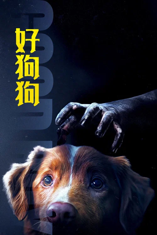 狗狗剧照4